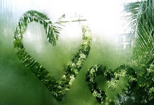 开云官方app入口-法国女子足球队士气高昂，备战重要比赛