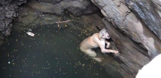 开云体育入口-关于筋疲力尽取得胜利,旷世奇迹终于诞生的信息